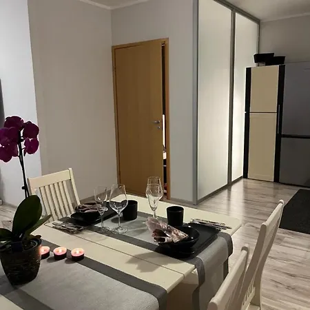 Hommiku 4 아파트 페르누